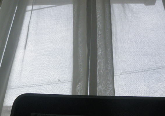 f0161647_212699.jpg