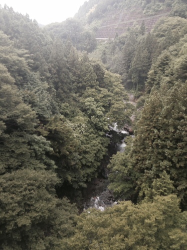 f0035460_06295370.jpg