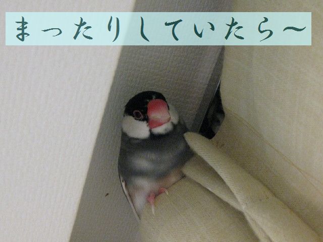 b0158061_21374996.jpg