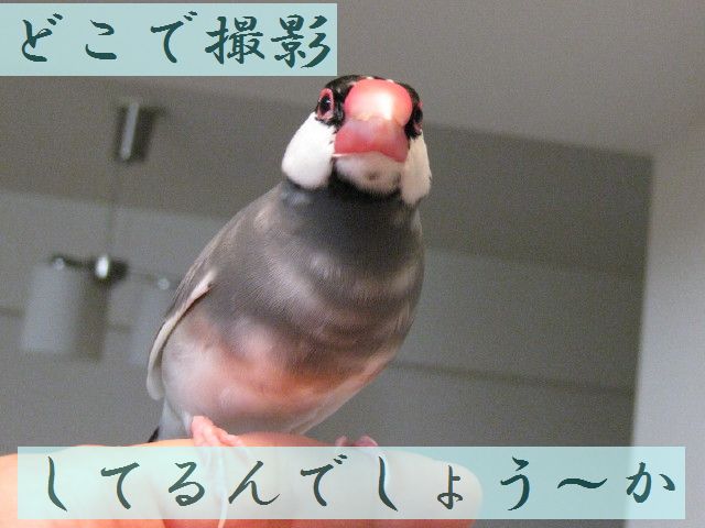 b0158061_2139999.jpg