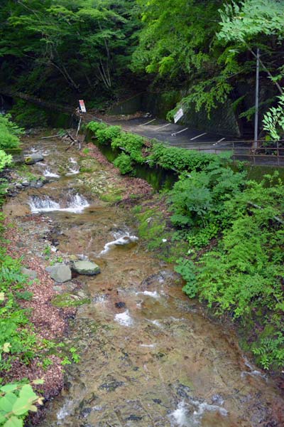 c0043361_23463992.jpg