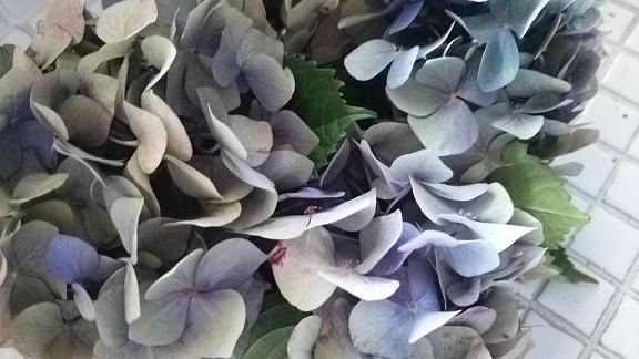 c0172261_9554510.jpg