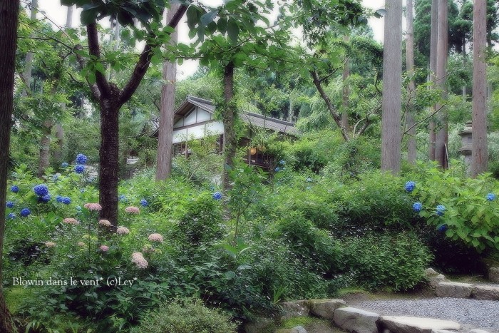 f0251765_16571047.jpg