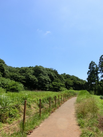 e0045768_21374245.jpg