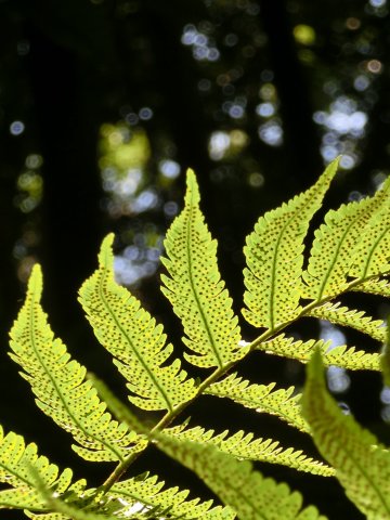 e0045768_21412036.jpg