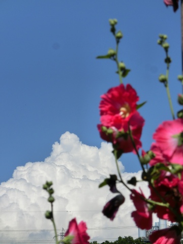 e0045768_21433083.jpg