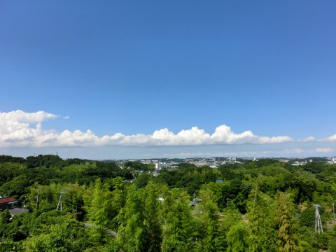 e0045768_21484335.jpg