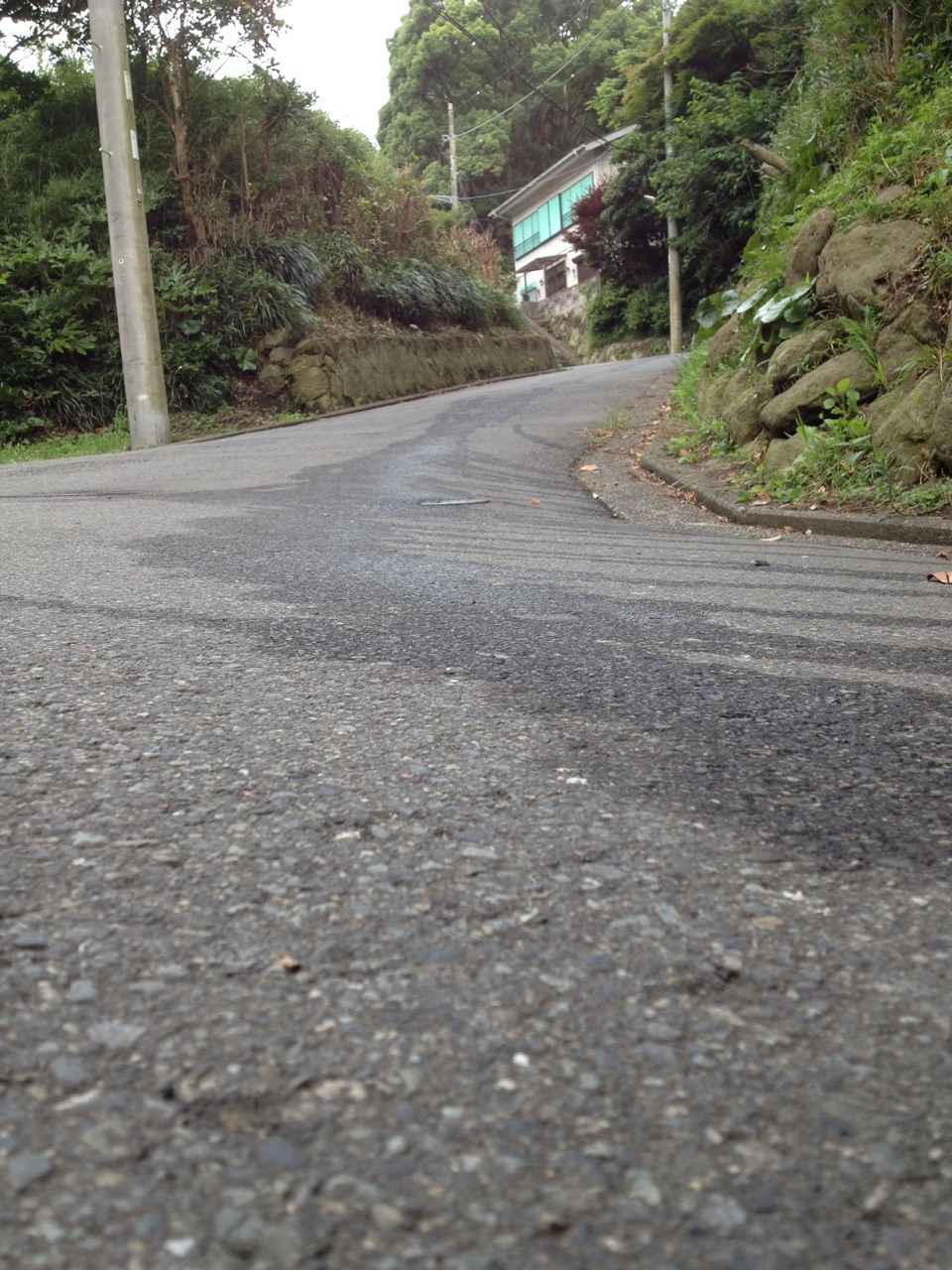 b0330969_08135679.jpg
