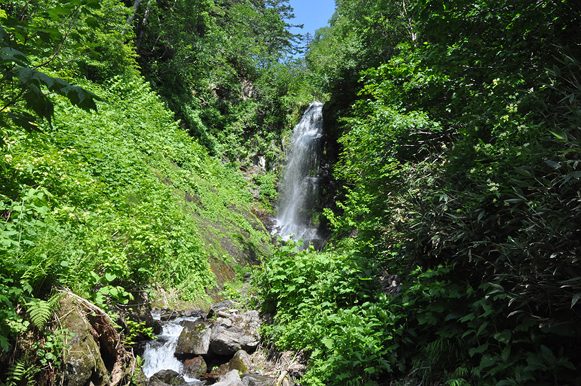 f0109977_15583522.jpg