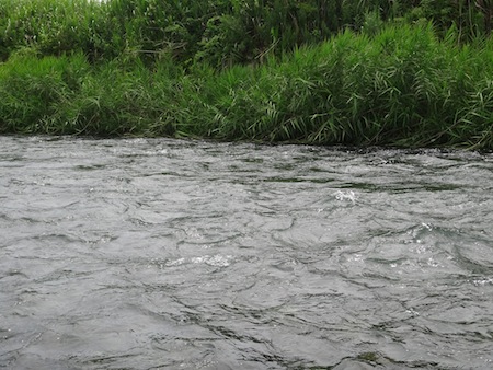 c0146788_1075138.jpg