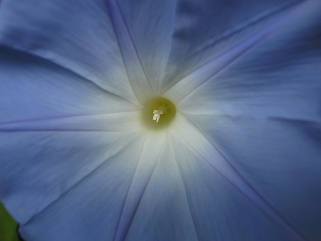 e0271890_15354141.png