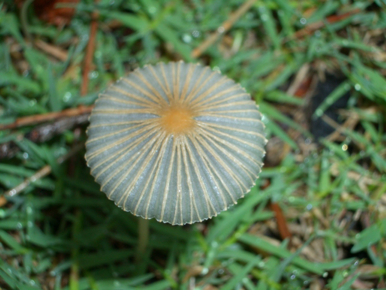 f0346196_08351491.jpg