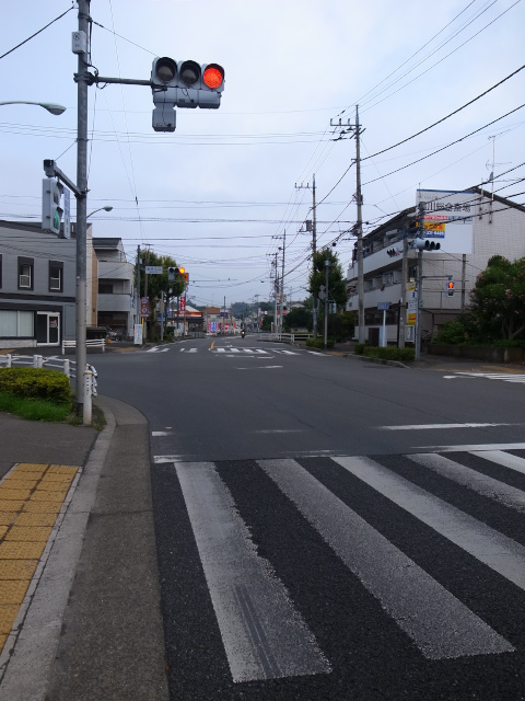 d0081997_20173564.jpg