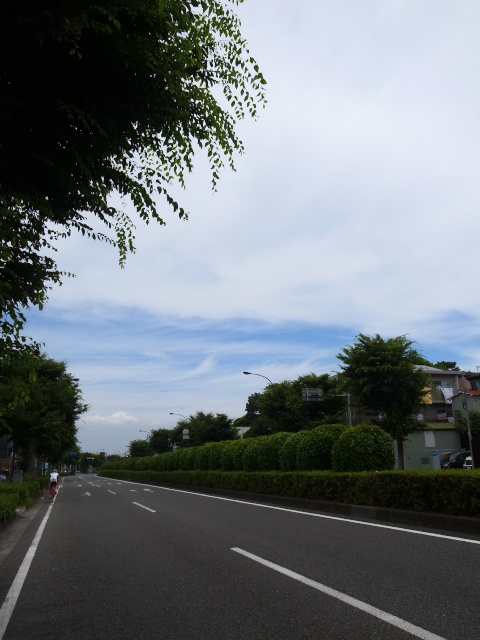 d0081997_20521762.jpg