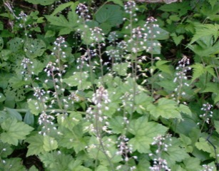 c0151898_2104461.jpg