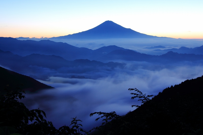 a0188405_1422869.jpg