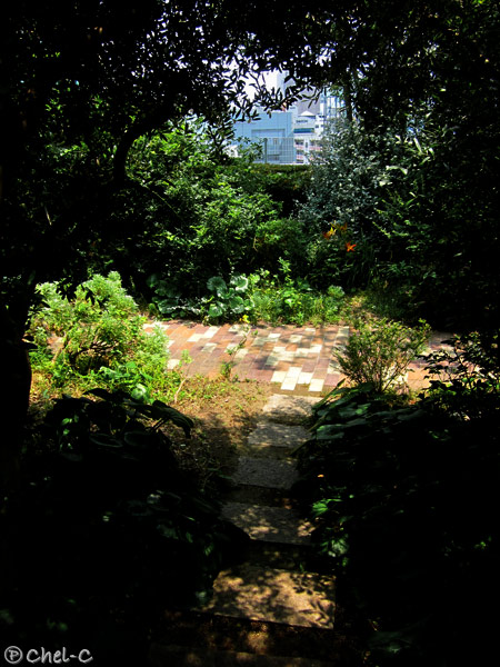 a0154706_22442126.jpg