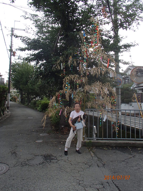 c0165909_4391294.jpg
