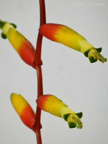 b0099813_02459100.jpg