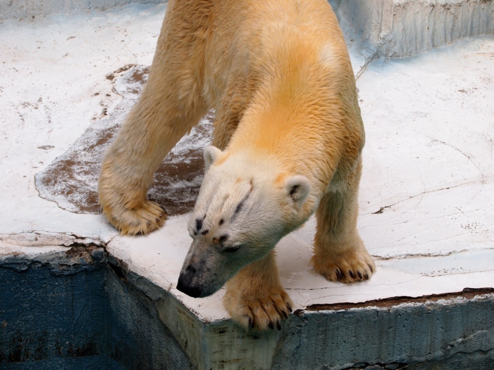 e0163618_2244411.jpg