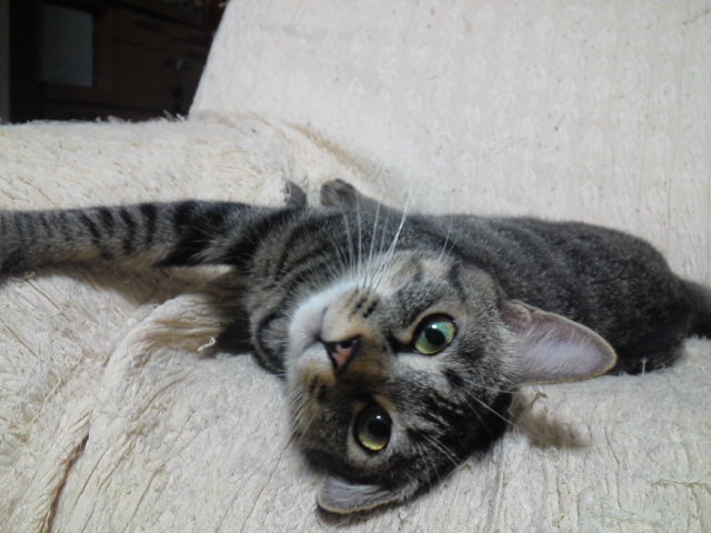a0206019_07473219.jpg