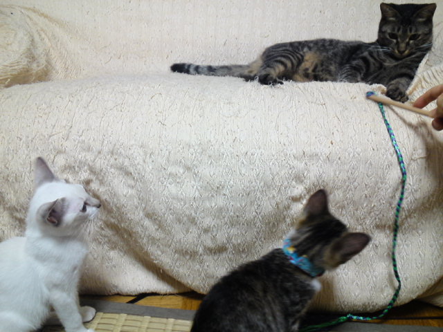 a0206019_07475125.jpg