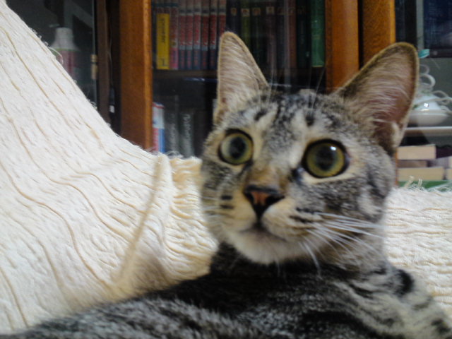 a0206019_07480367.jpg
