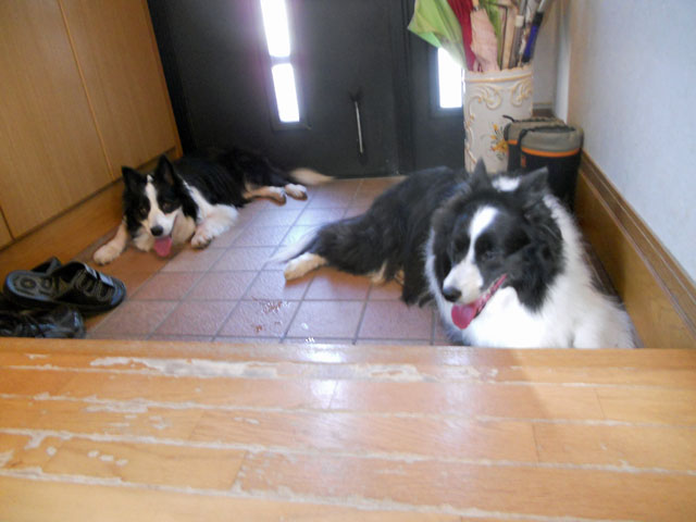 d0059230_91422100.jpg