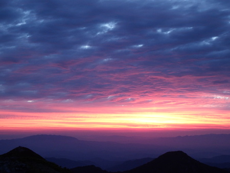 f0118332_2139220.jpg