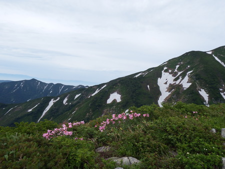 f0118332_2212561.jpg
