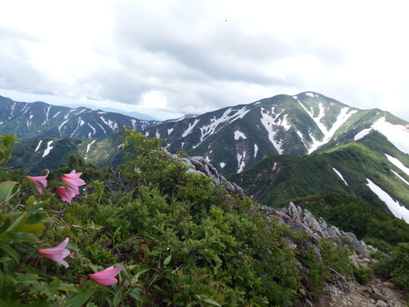 f0118332_9461219.jpg