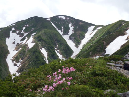 f0118332_9493023.jpg