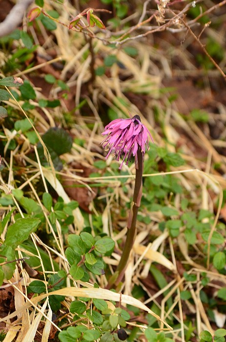 b0236334_21474363.jpg