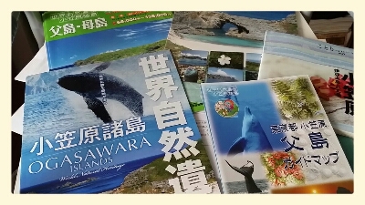 a0013236_1114226.jpg