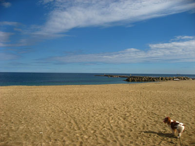 d0143739_0392672.jpg