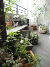 c0192740_8153666.jpg