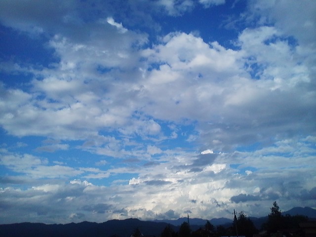 a0272241_2073916.jpg