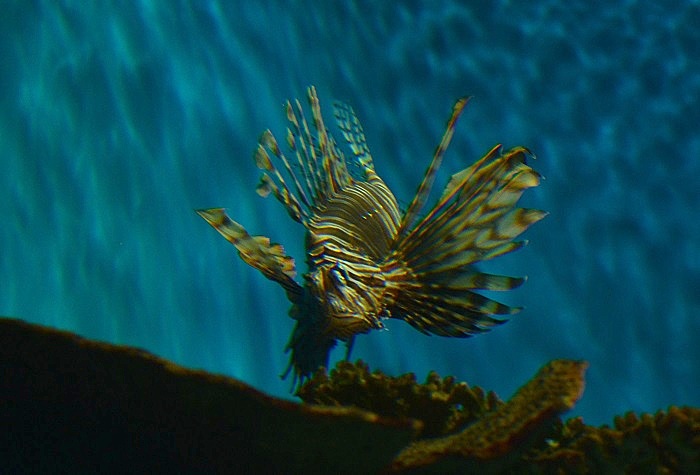 a0146442_83846100.jpg