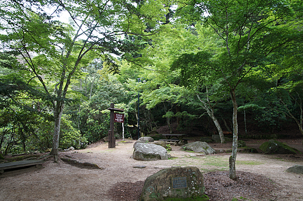 f0214649_1791319.jpg