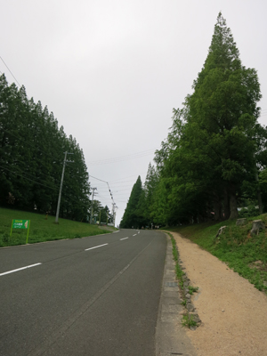 c0117570_15502557.jpg