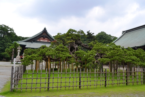 f0342371_18301576.jpg