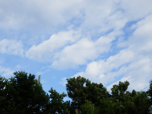 e0292172_20335139.jpg