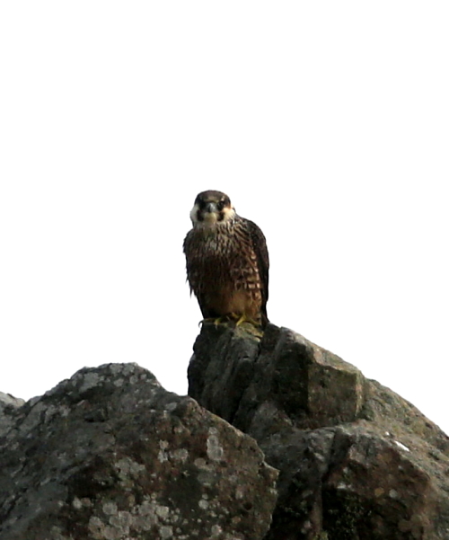 d0262476_04175661.jpg