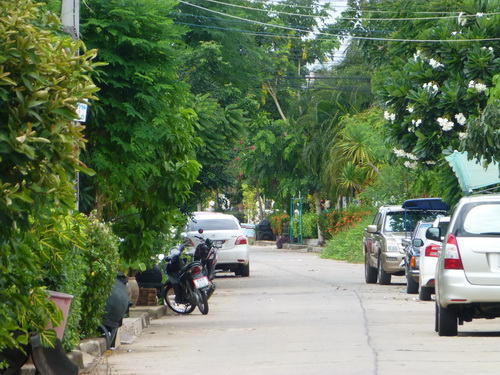 a0002177_13495762.jpg