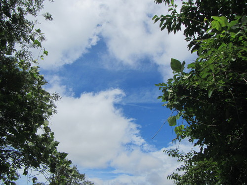 a0251786_16121324.jpg