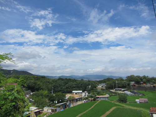 a0251786_16511456.jpg