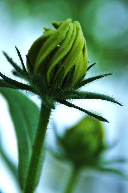 c0246290_18304049.jpg
