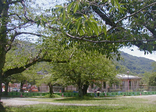 d0053294_0292962.jpg