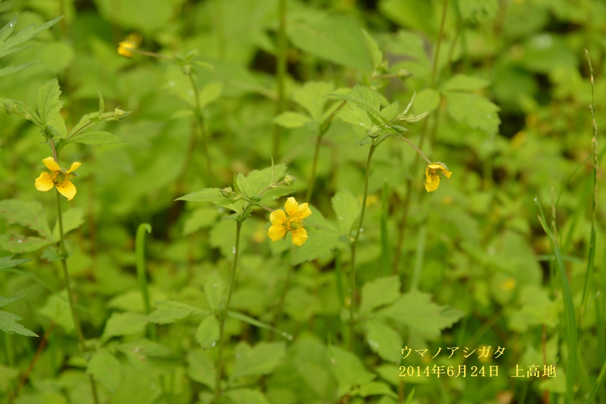 f0268294_20180345.jpg