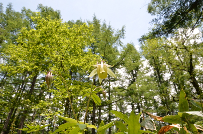 f0268294_20535047.jpg